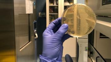 Del agar al hangar: cinco visitas que han enriquecido mi 2018