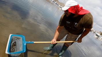 El Mar Menor, una catástrofe natural reconvertida en conflicto político