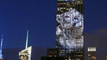 El Empire State se cubre de imágenes de animales en peligro de extinción (FOTOS)