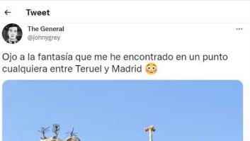 Lo que encuentra en un pueblo de Guadalajara se convierte en fenómeno viral