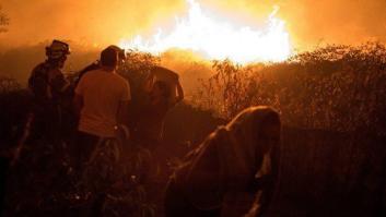 ¿Cuáles son las penas por incendios forestales provocados?