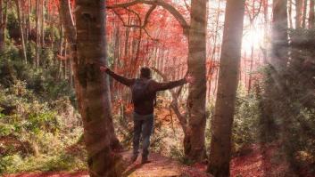 Constitución: medio puente radiante, medio puente estropeado