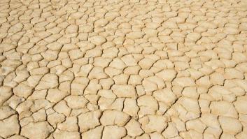 La mortalidad en el mundo ha aumentado un 4% por los efectos del cambio climático