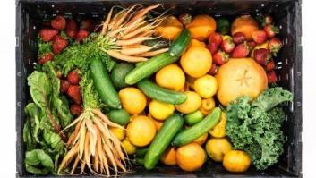 Transición hacia una dieta vegetariana