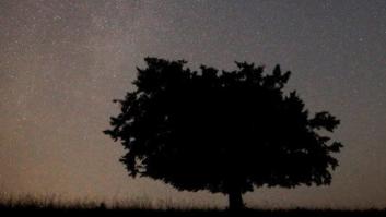 Perseidas 2015: ¿de verdad estás preparado para ver la lluvia de estrellas?