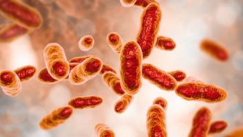 Alzhéimer, párkinson, ELA... ¿y si los culpables son microbios?