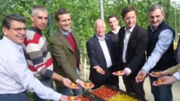 La bandera española de tomates de Pablo Casado