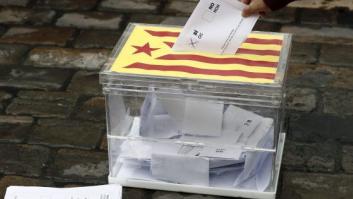 ¿Por qué un referéndum puede no ser una buena idea?