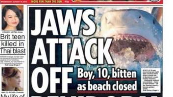 El tiburón que siembra el pánico en Benidorm ni es tiburón ni siembra el pánico