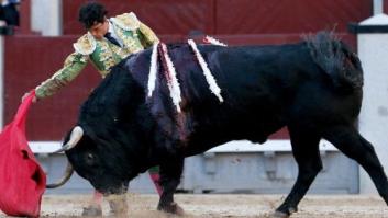 Una petición en Change.org reclama la suspensión de la Cátedra en Tauromaquia de la Universidad de Salamanca