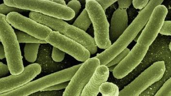 Resistencia a los antibióticos: un problema de todos