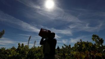 Tres de cada diez trabajadores ganan menos de 1.230 euros brutos al mes