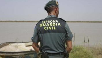 Multado con más de un millón de euros por llevar en su coche un cerdo muerto