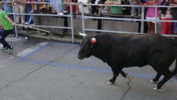 Un hombre de 60 años muere tras ser corneado en el corazón en Cuéllar