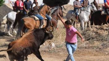 Un herido de gravedad en el Toro de la Vega de Tordesillas