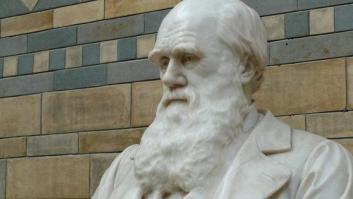 La inteligencia humana está disminuyendo