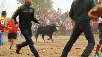 Vuelve el Toro de la Vega: ¿qué pasará este año con el animal?