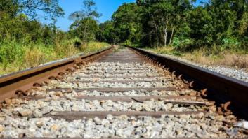 Un tren con rumbo al desarrollo