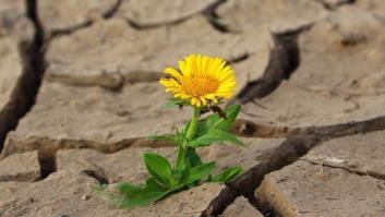 El papel de los parlamentos y los Objetivos de Desarrollo Sostenible