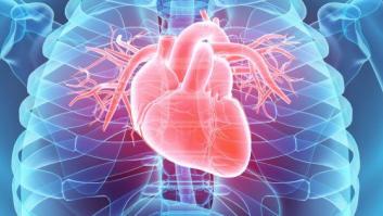 Esta es la razón por la que tenemos el corazón a la izquierda