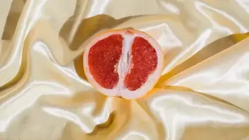 Este es el mejor momento del mes para masturbarte