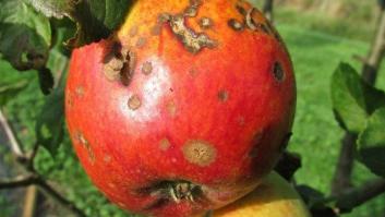 El viejo cuento de la corrupción