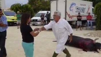 Agreden a una mujer que grababa a un toro muerto tras una corrida