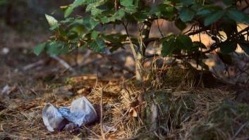 Crónicas de Megalópolis I: Nuevos tiempos