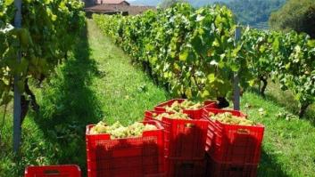 El BNG plantea al Congreso declarar inadmisible el fallo de "Galicia profunda"