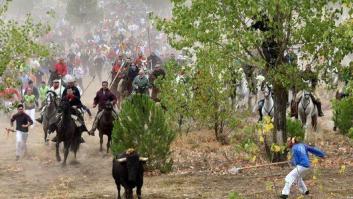 Mariló Montero matiza sus palabras sobre Rompesuelas, el Toro de la Vega