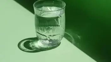 Esto es lo que le pasa a tu cuerpo y a tu cerebro cuando no bebes suficiente agua