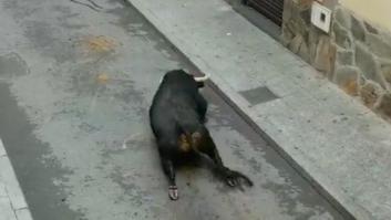 El vergonzoso vídeo por el que España es noticia en el extranjero