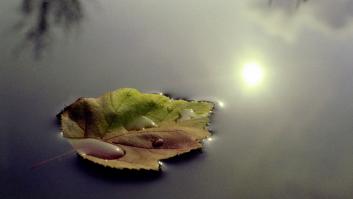 'Mindfulness': la importancia del momento presente