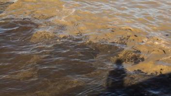 El verano más turbio de las aguas canarias
