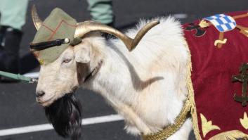 12 de octubre: Día de la Hispanidad... y de la cabra