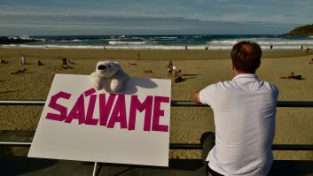 España y la Cumbre del Clima de Glasgow: lo cumplido y lo pendiente