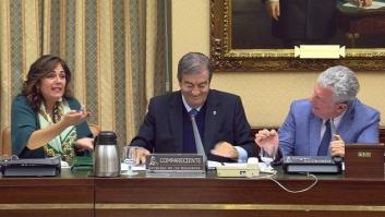 Cascos califica de "intachable" la labor de Bárcenas