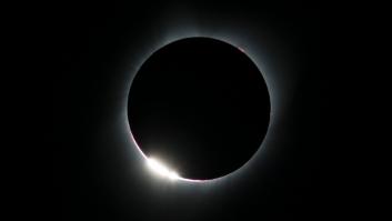 Estos dos perros recrean el eclipse del 21 de agosto en la mejor versión posible