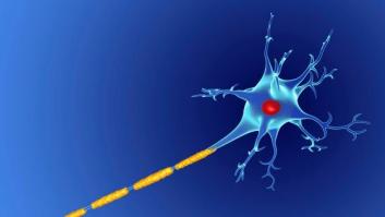 Descubierto el trastorno genético que está detrás de la esclerosis lateral amiotrófica (ELA)