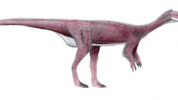 El 'Chilesaurus', el "eslabón perdido" en la evolución de los dinosaurios