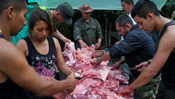 Colombia certifica el final de las FARC tras la entrega de sus últimas armas
