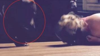 Este perro protege a su dueña durante sus convulsiones epilépticas y arrasa en las redes