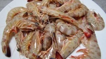 Qué comer en Sanlúcar de Barrameda, Capital española de la gastronomía 2022