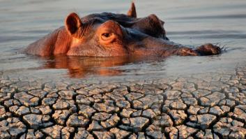 Más de 1.500 millones de personas podrían vivir en una zona "inhabitable" en el año 2100