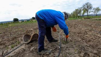 El Parlamento Europeo aprueba la nueva PAC que se aplicará desde 2023
