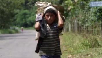 El inaceptable costo humano del café