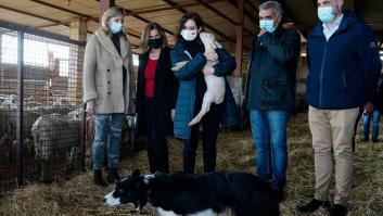 Ayuso sube estas fotos y le cuestan una oleada de críticas: muchos se han fijado en el detalle