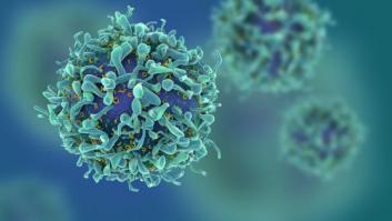 ¿Cuáles son algunas de las cosas más fascinantes que saben o comprenden los biólogos pero no la gente?