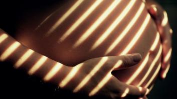 La madre del cordero: gestación ninguneada, vientres alquilados, cuerpos esclavos