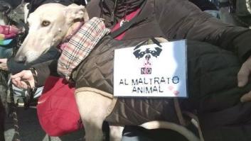 Una petición en Change reclama al Seprona un archivo de fácil acceso con los nombres de los maltratadores de mascotas